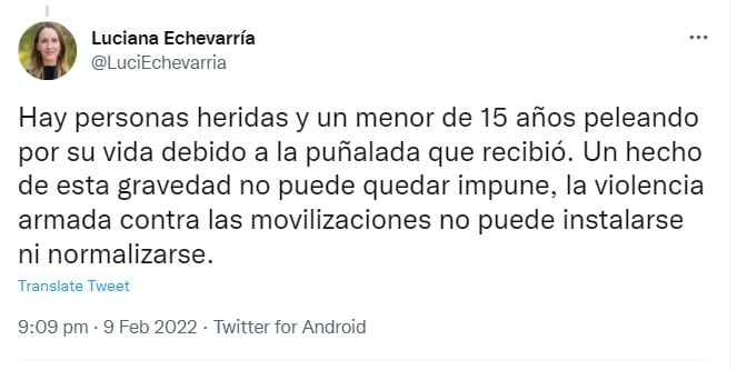 El tweet de la legisladora Luciana Echevarría.