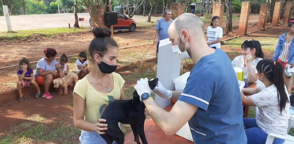 Operativo sanitario animal en Eldorado.