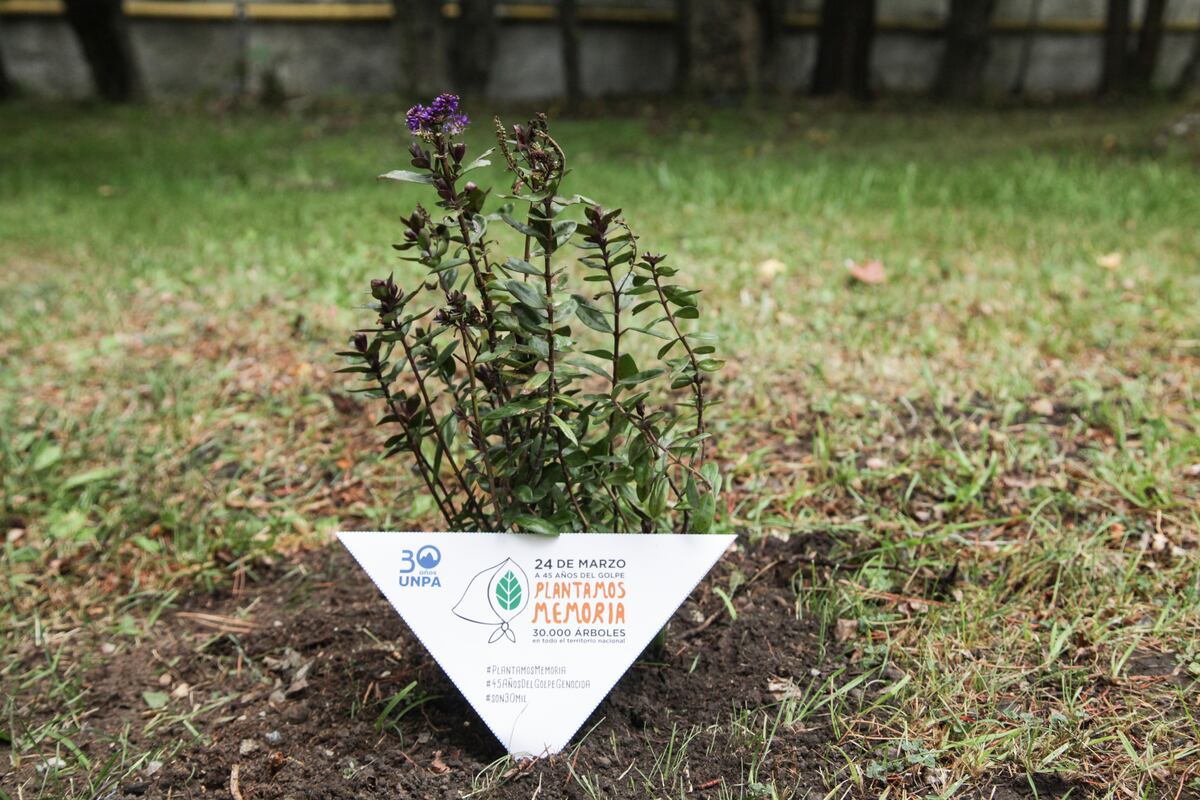 La Universidad Nacional de la Patagonia Austral adhirió a la campaña de Derechos Humanos y plantó arbustos