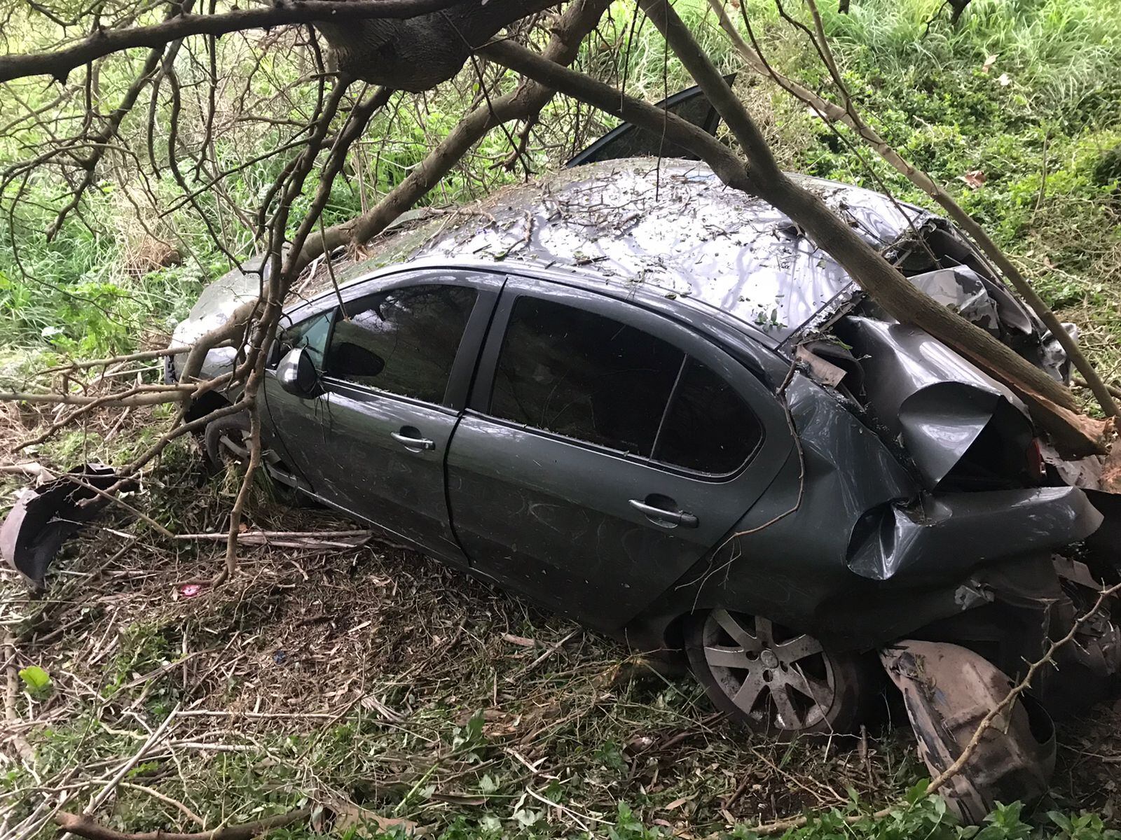 El Peougeot 308 impactó contra un árbol