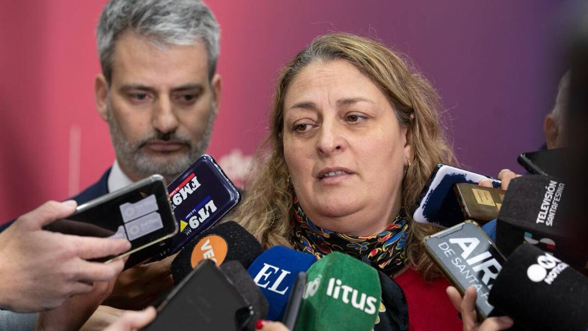 Vacuna contra el dengue: Santa Fe prepara campaña de inoculación