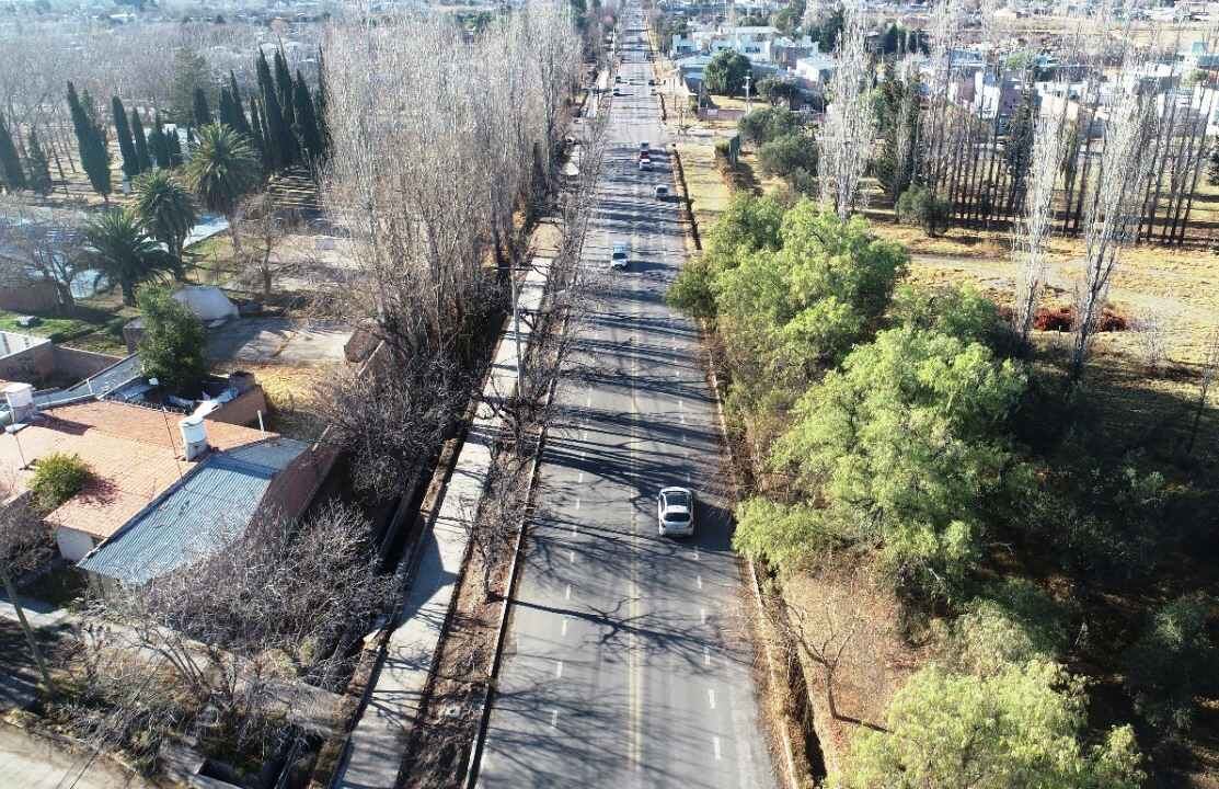 Ciliclovía en avenida Los Sauces en San Rafael.