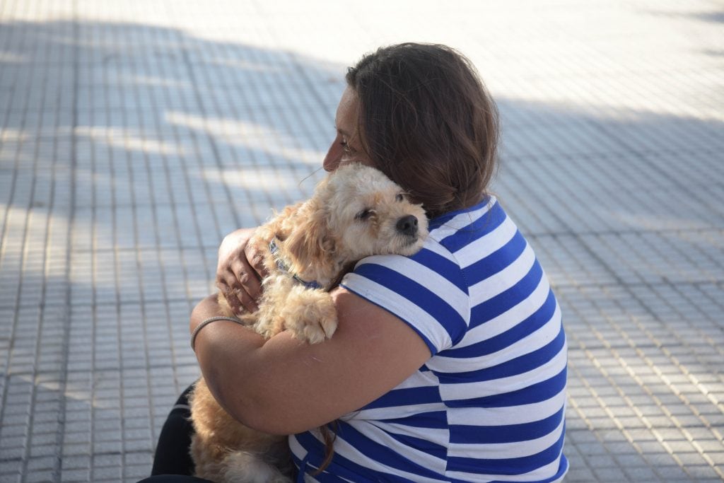 Adopción en Plaza 25 de Mayo de Arroyito por el Refugio Canino