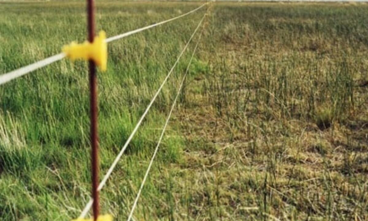 Un joven falleció electrocutado en Garuhapé cuando cambiaba un cerco eléctrico
