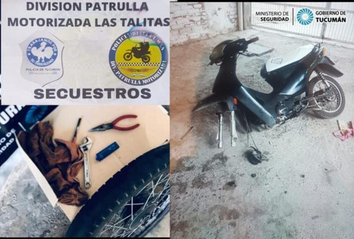 Un hombre robó en dos casas y quedó aprehendido