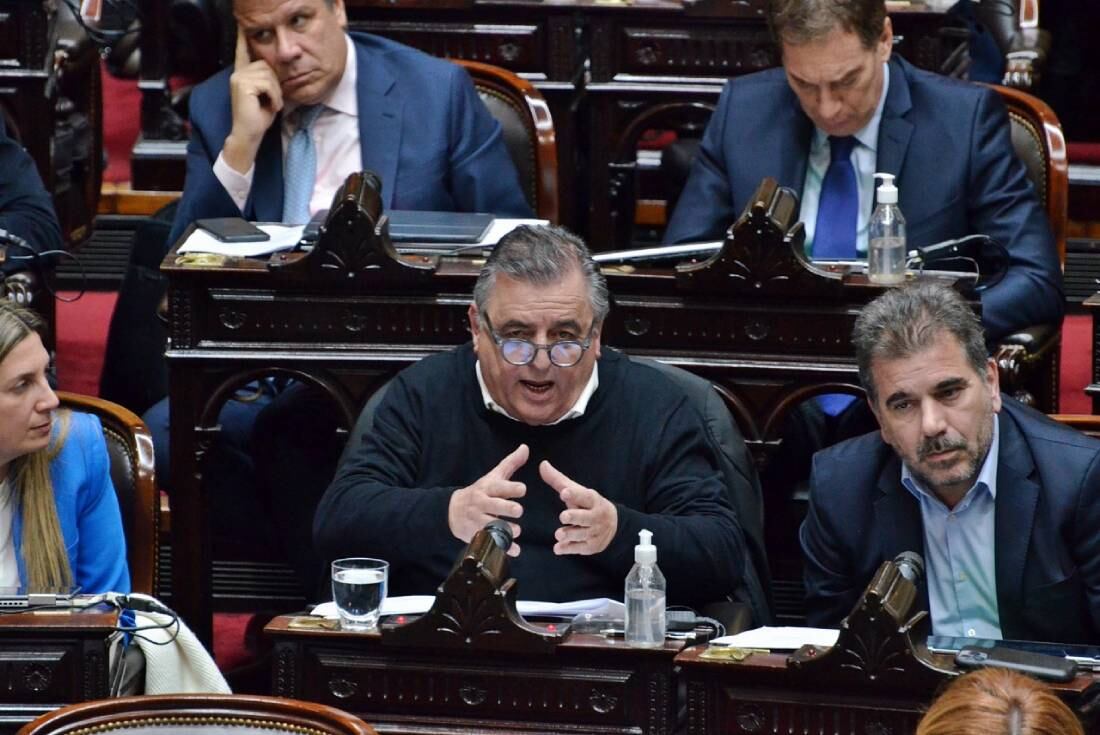 El jefe del bloque de diputados radicales, Mario Negri (Foto: Prensa Juntos por el Cambio)