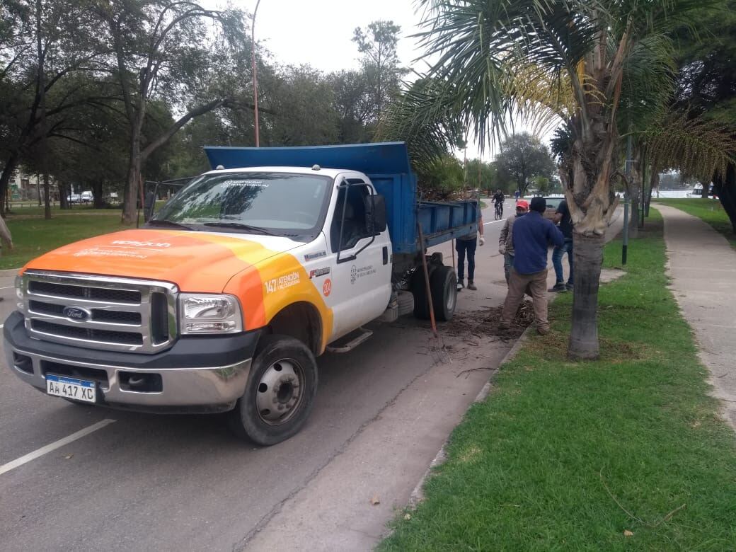 Diferentes móviles y cuadrillas abocadas en sectores de la ciudad afectados por el paso del feroz temporal.