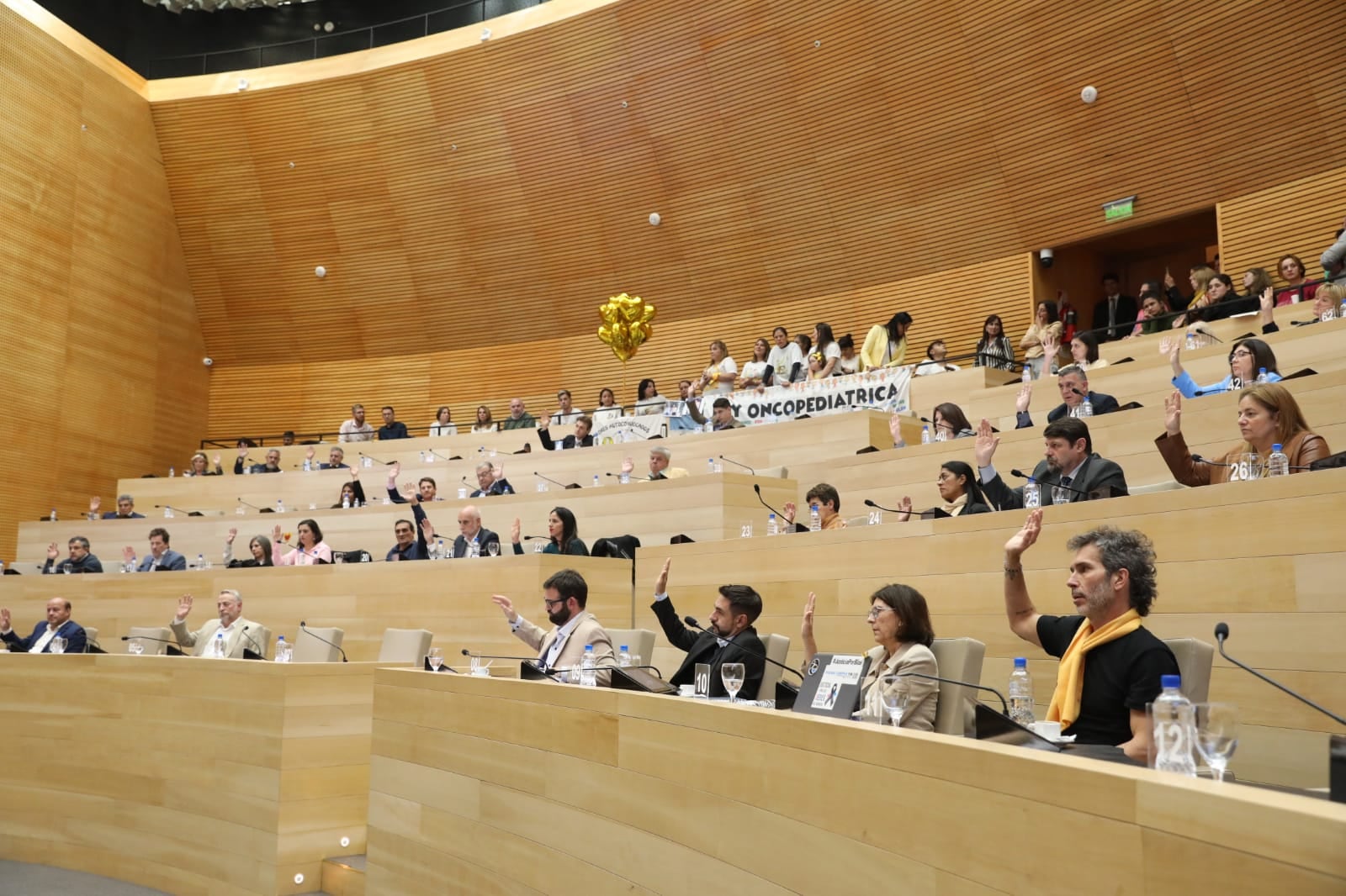 Se aprobó por unanimidad la adhesión a la ley de oncopediatría. (Legislatura de Córdoba)