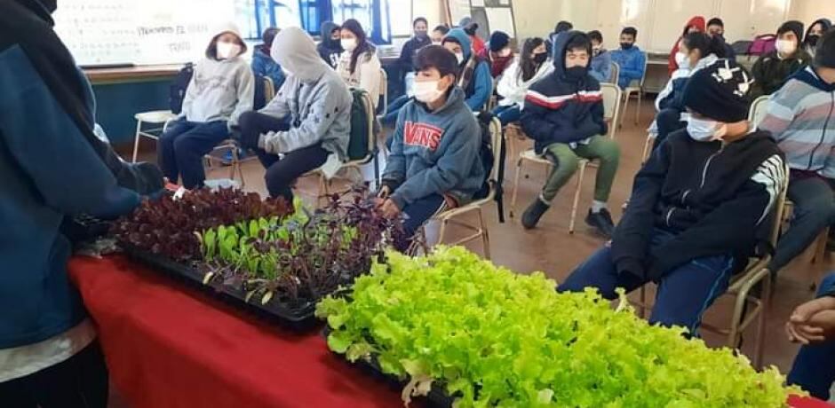 Los niños de la Escuela N°745 fueron capacitados en huerta familiar.