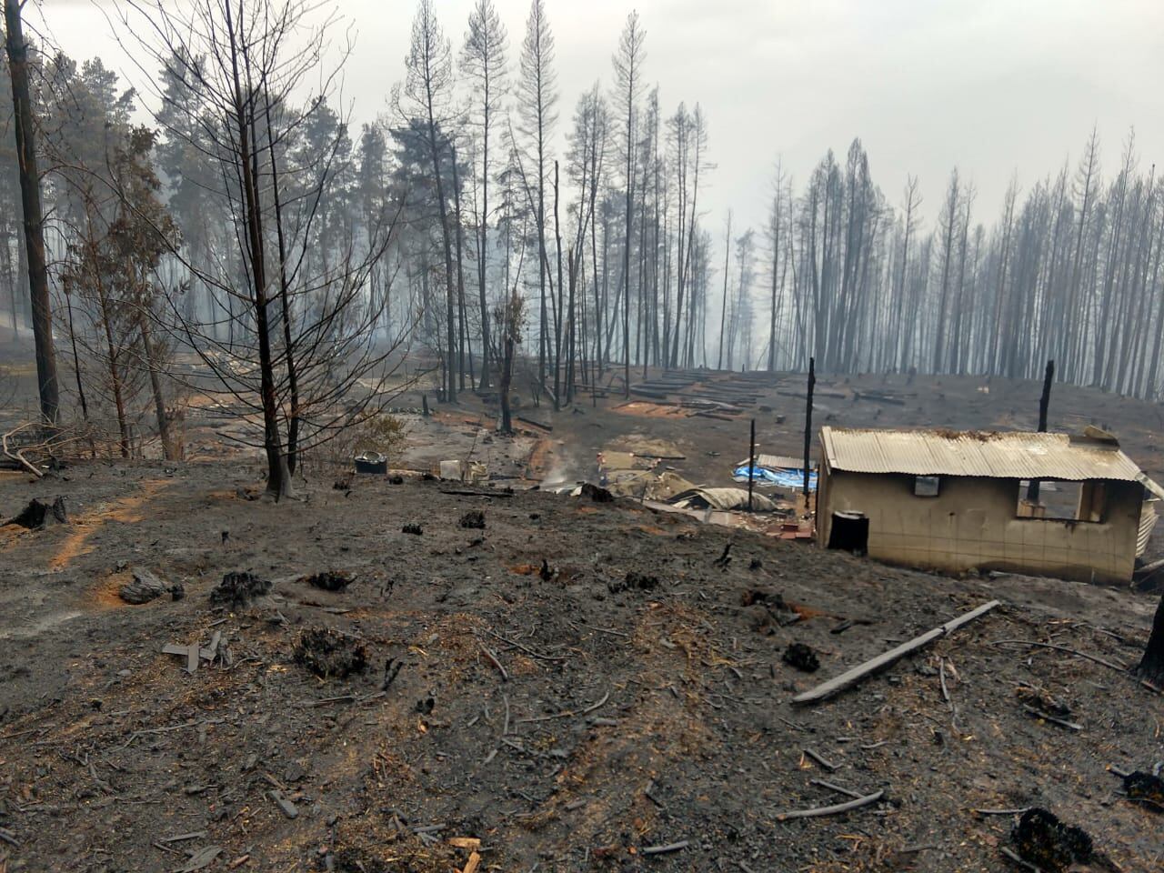 Así quedó la chacra de Jésica Castillo y sus hijos Juan Ignacio y Manuel, mendocinos que viven en Las Golondrinas, distrito de Lago Puelo (Chubut). | Gentileza.