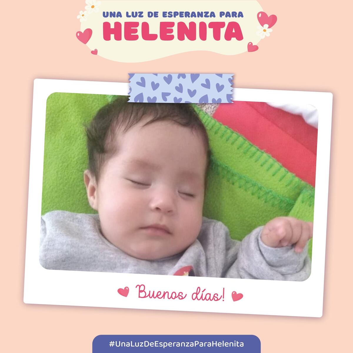 Los Scouts sanrafaelinos se unen a la campaña solidaria de Helenita