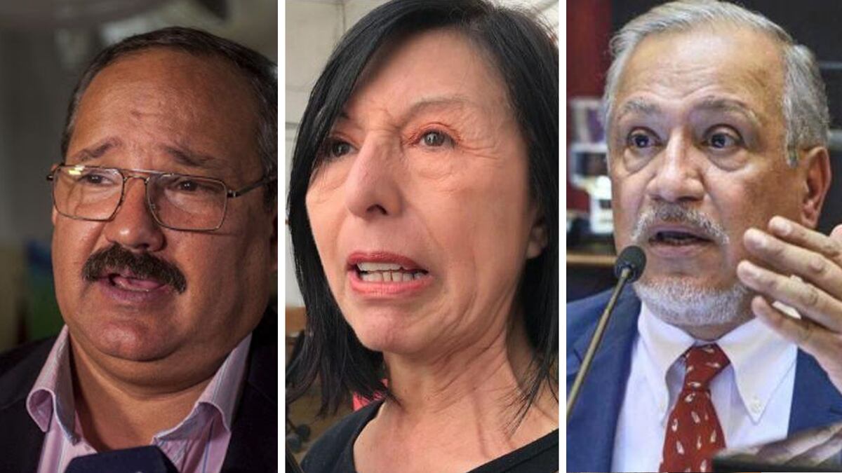 Aborto legal: qué dijeron los legisladores salteños durante sus discursos en el Senado