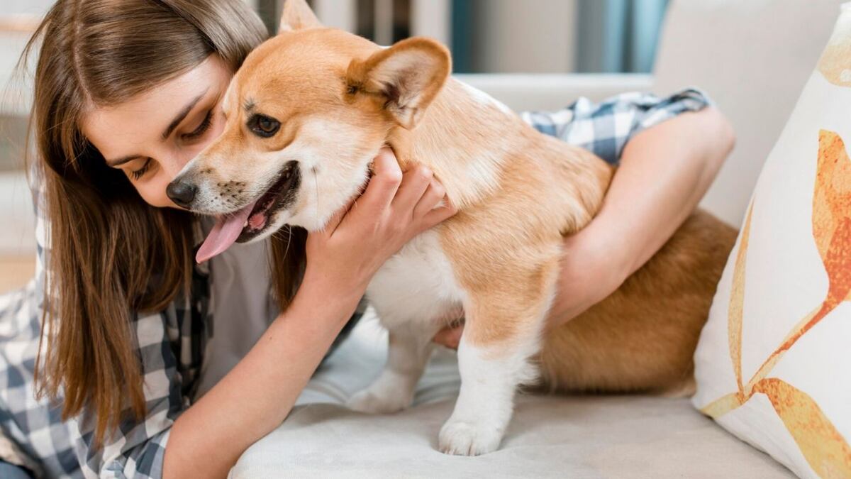 ¿Tu perro te entiende? Un estudio reveló la verdad