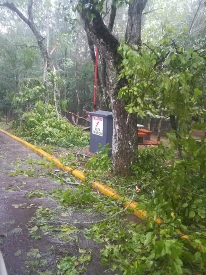 Fuerte temporal en Oberá causó caídas de árboles y postes que dejaron sin luz a gran parte de la ciudad.