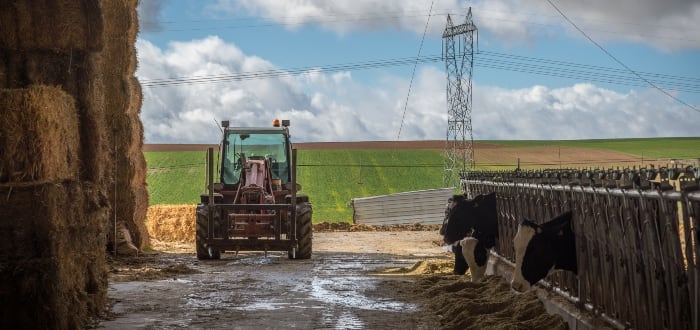 Negocios agropecuarios