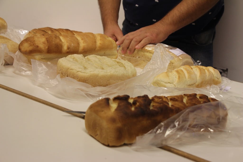 53º Fiesta Provincial del Trigo: Ganadores del concurso de Pan Casero