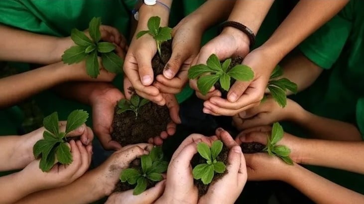 Diplomatura en Seguridad Ambiental se dictará en Puerto Iguazú.