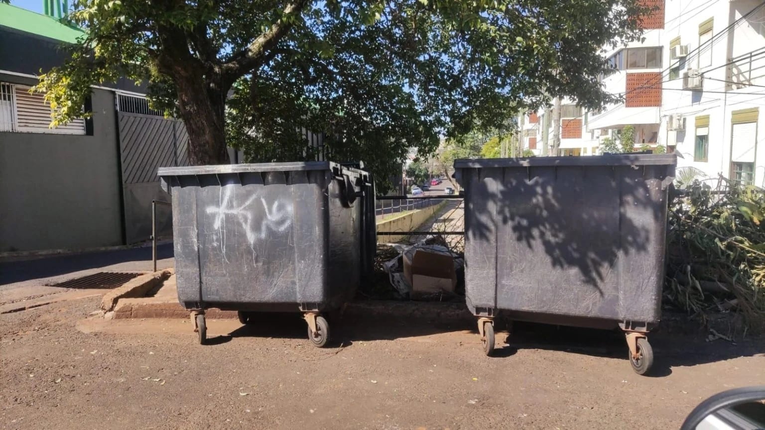 Encontraron un feto en un contenedor de basura en Posadas: tratan de identificar a la madre.