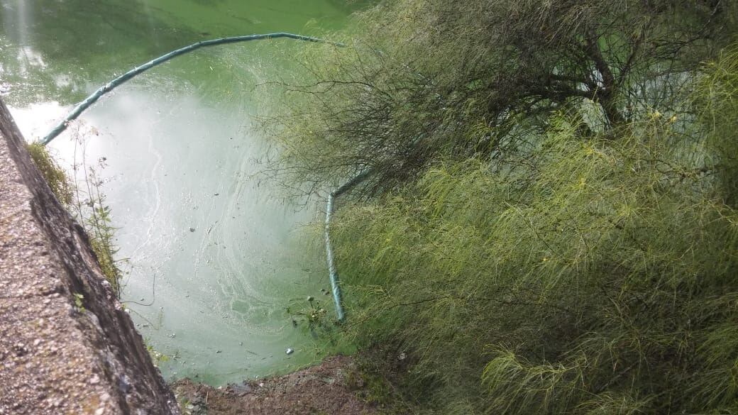 Limpieza de costas y extracción de cianobacterias en el lago San Roque.