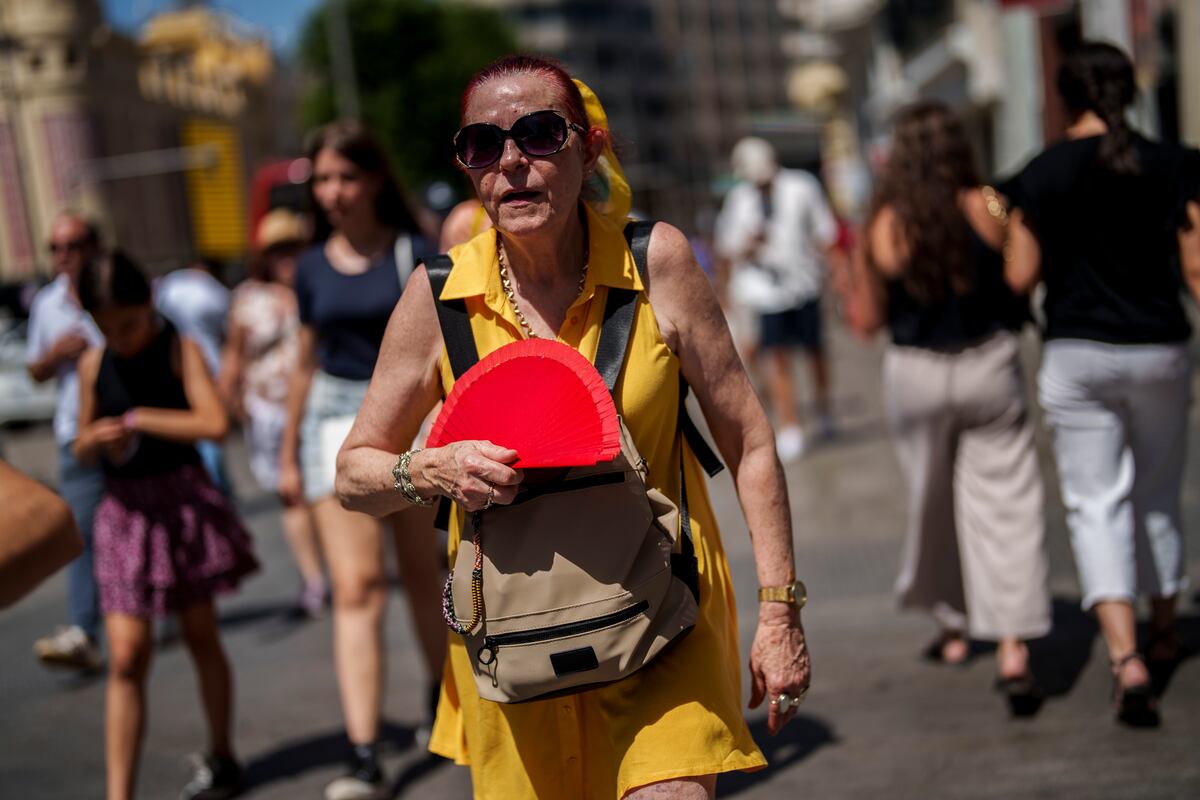 Verano en llamas: según las proyeciones el clima será más cálido y lluvioso, con permanentes “olas del calor”