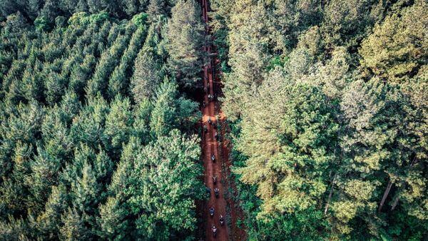 Más de 200 concurrentes participaron de la Travesía del Paraná en Eldorado.