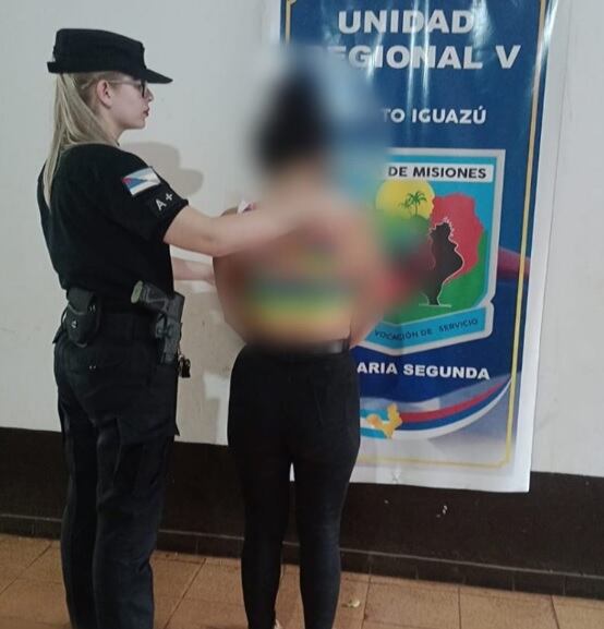 Puerto Iguazú: concurrió a votar y fue detenida por un hecho de estafas.