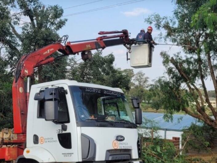 Energía de Misiones realizó trabajos de poda en varios puntos de Posadas.