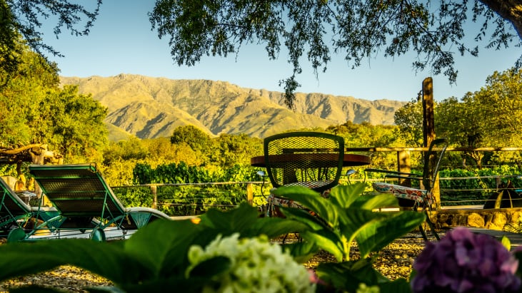 El lugar ofrece una hospedarse en medio de una bodega, en Traslasierra.