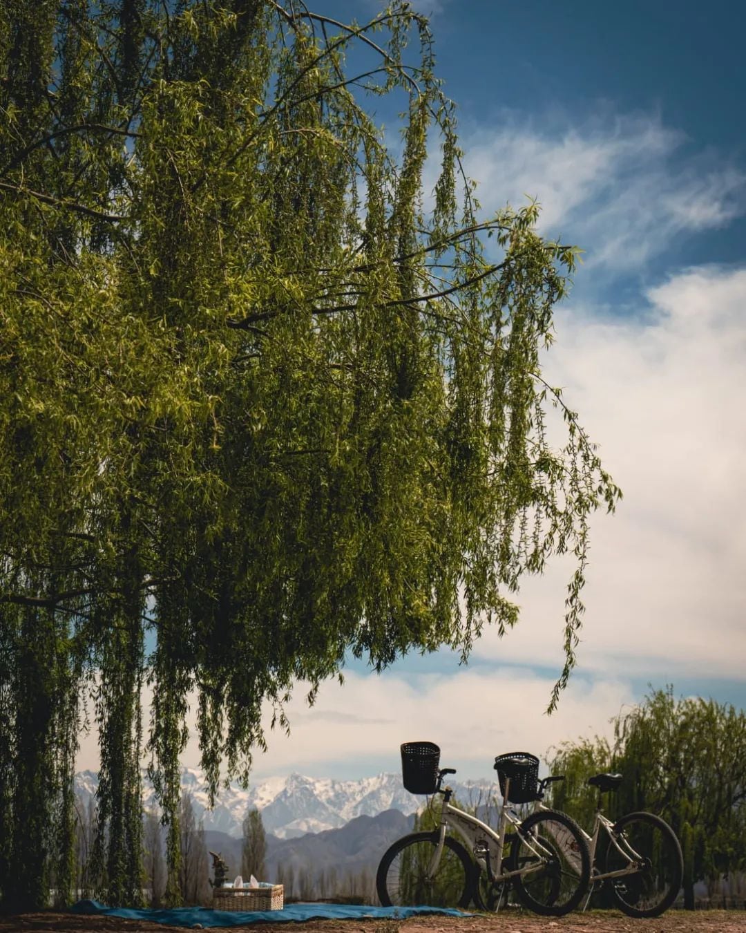 Caminos del vino en bici por Maipú.