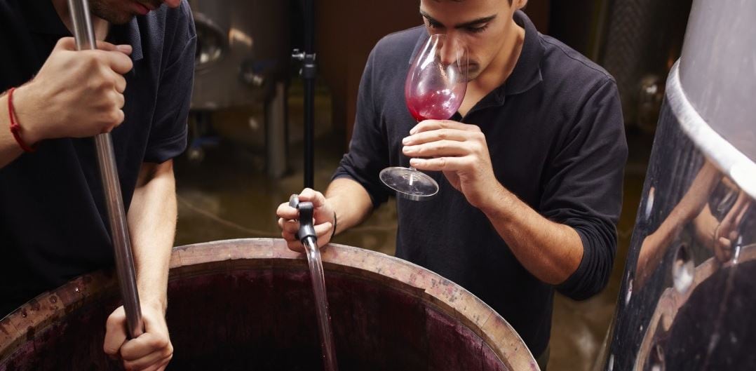 Joven trabaja en la preparación de vino.