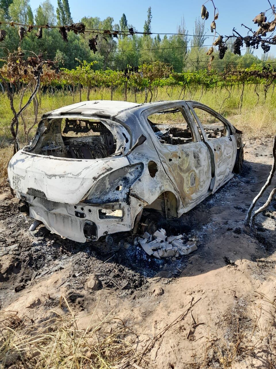 Robaron un auto y lo encontraron prendido fuego en una finca de Rivadavia.