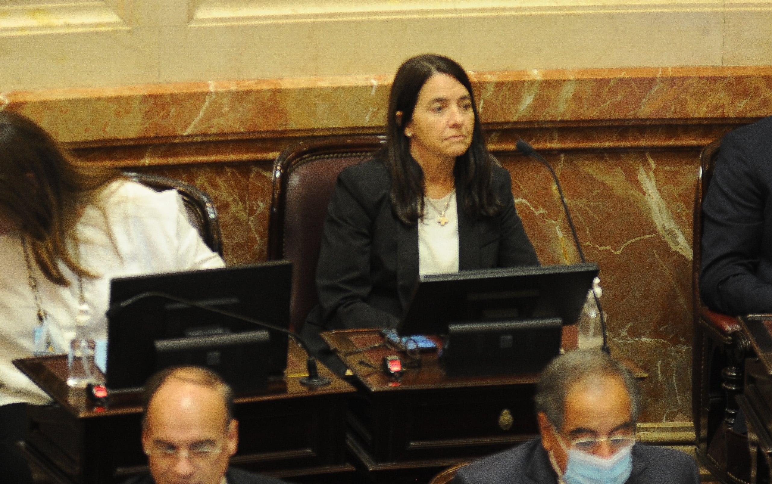 Carmen Alvarez Rivero senadora Cordoba
 en el senado Deuda FMI
Foto Federico Lopez Claro