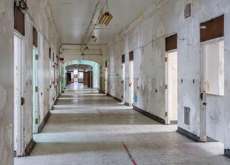 Trans-Allegheny Lunatic Asylum en Estados Unidos