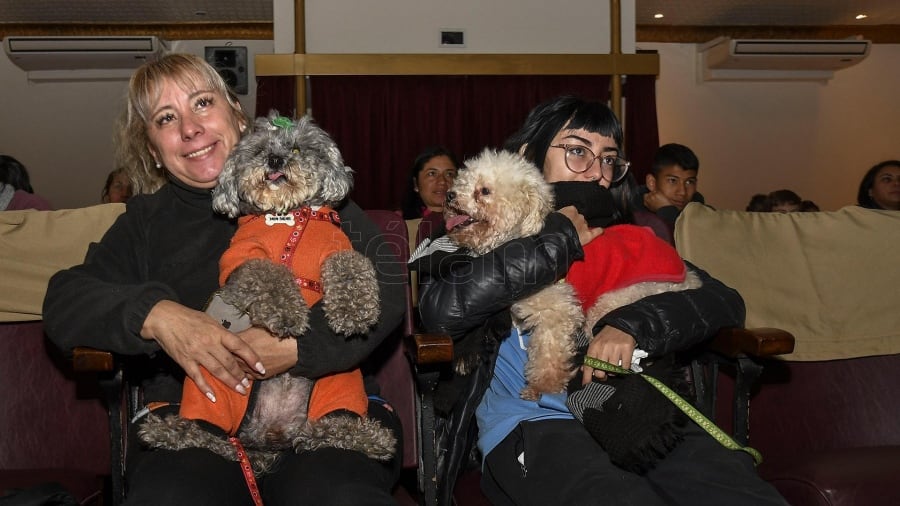 Argentina tuvo su primera función de cine para perros.