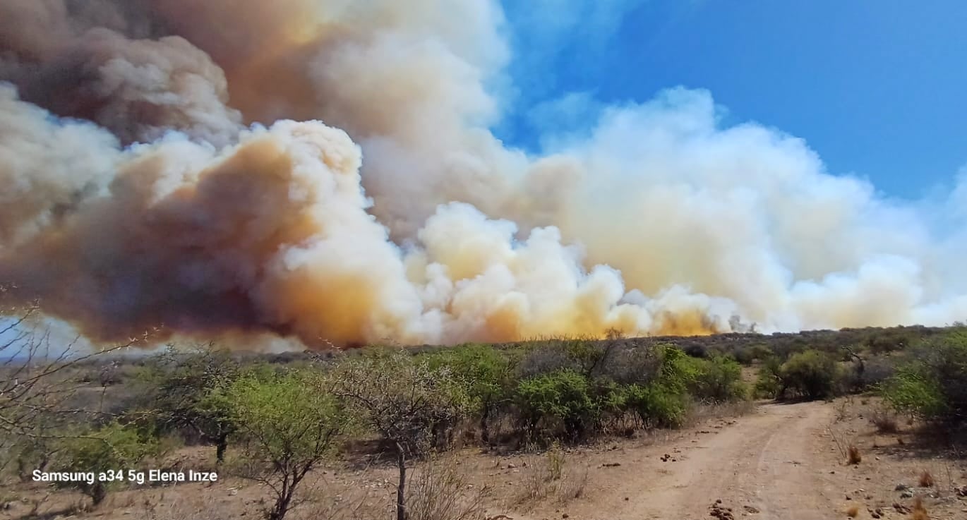 Un incendio forestal de grandes proporciones se desata en la localidad norteña.