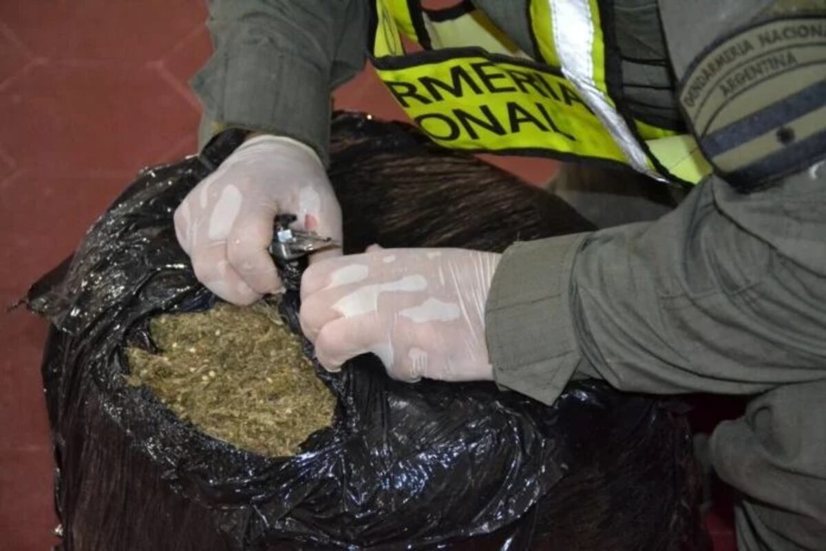 Operativo de Gendarmería decomisó gran cantidad de marihuana enviada desde Puerto Iguazú