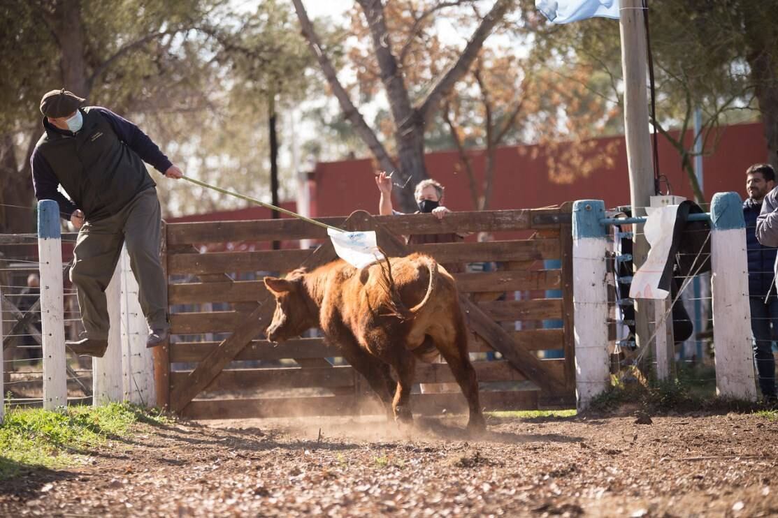 Habrá actividades típicas de corral en el Día de Campo.