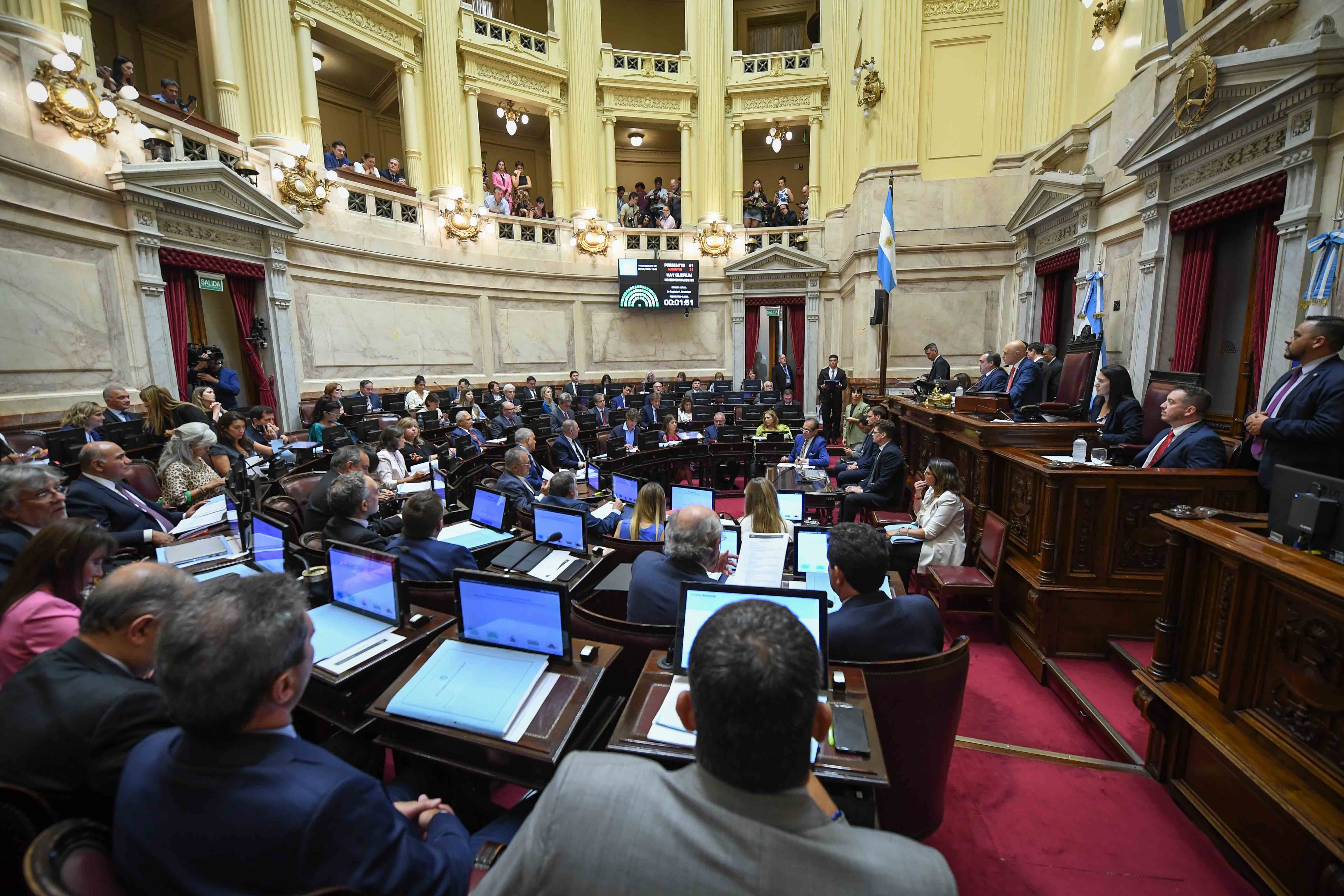 El Senado sesiona por la suspensión de las PASO (Foto: Comunicación Senado)