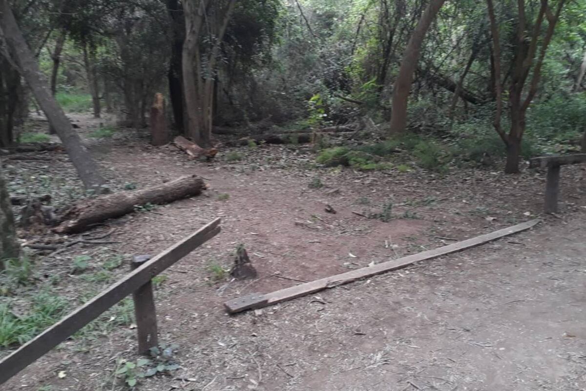 Importantes actos de vandalismo en el Bosque Besaccia de la ciudad