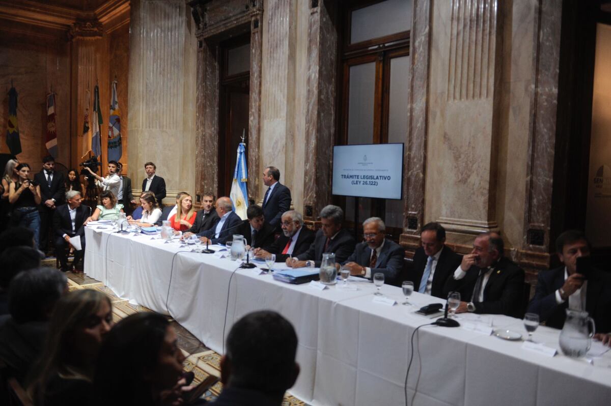 El Congreso constituye la bicameral que tratará el mega DNU de Milei