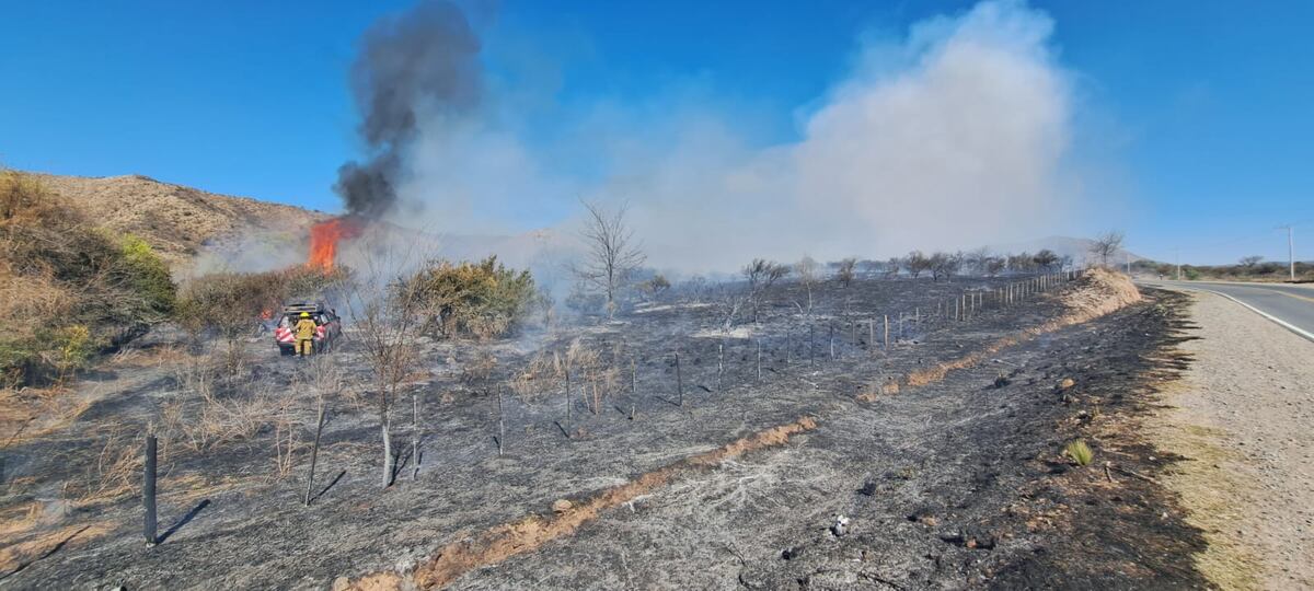 Se quemaron 90 hectáreas en Las Jarillas por un incendio forestal