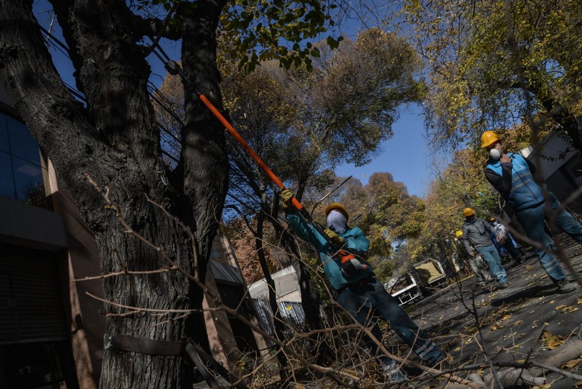 Trabajos de poda del arbolado y bacheo en las calles de la Ciudad