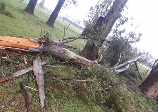 Así fueron los destrozos en Tandil.