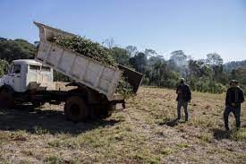 Entregaron a productores agroecológicos ramas chipiadas de las localidades de General Alvear y Colonia Guaraní.