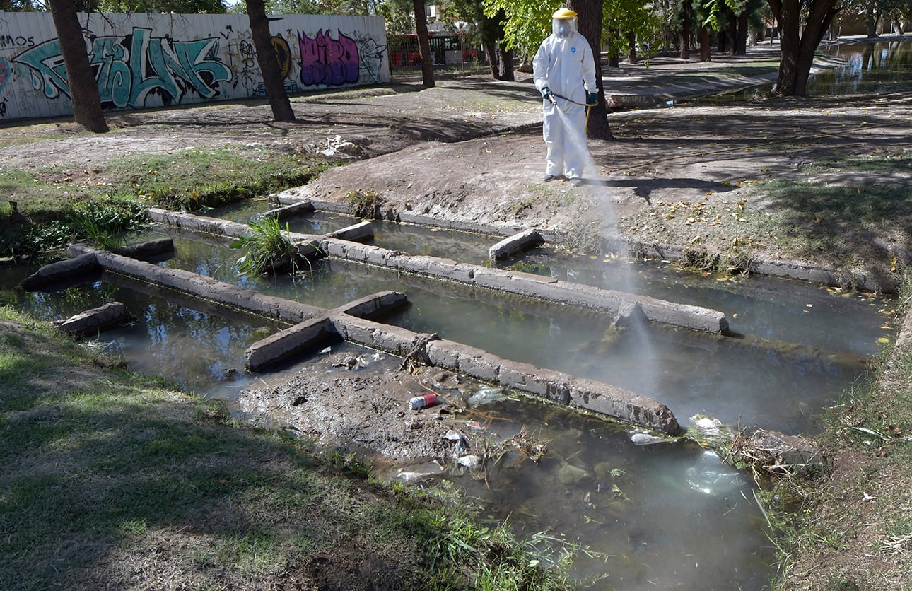 Personal de Zoonosis de Guaymallén desinfectó sectores públicos para evitar la propagación del mosquito del género Aedes, principalmente por Aedes aegypti.