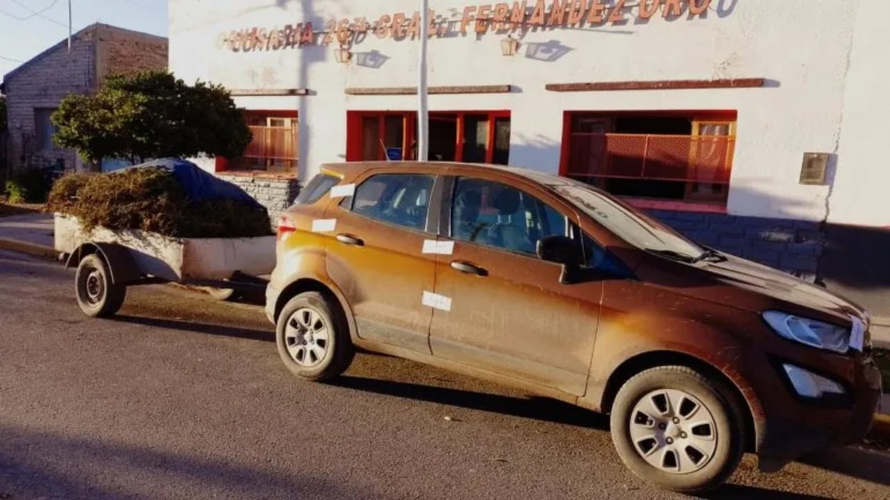 El dueño del terreno hizo la denuncia y el ladrón de alfalfa está detenido.