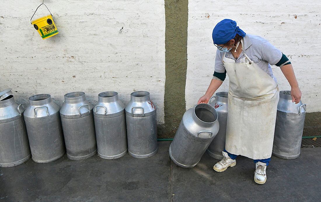 El 1 de junio se celebra el Día Mundial de la Leche, una fecha proclamada por la Organización de las Naciones Unidas para la Agricultura y la Alimentación (FAO), con el objetivo de tratar cuestiones relacionadas con el sector lechero en todo el mundo y para incentivar el consumo de leche en todo el mundo.