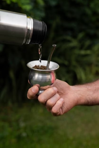 Cuál es la temperatura ideal para el agua del mate.