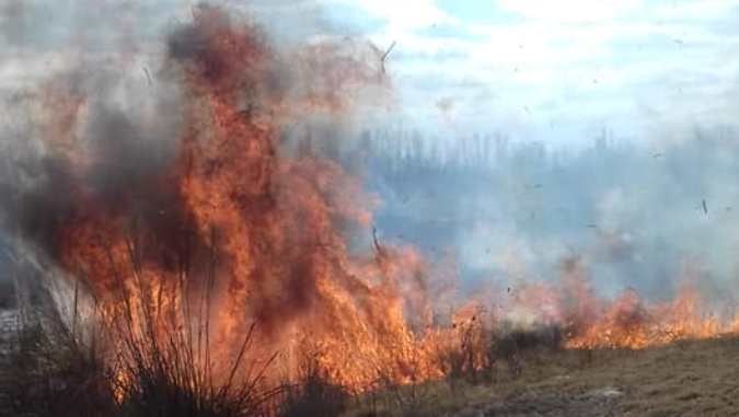 Bomberos se movilizaron a ambos sitios para sofocar las llamas. Foto: Gentileza / El Cuco Digital