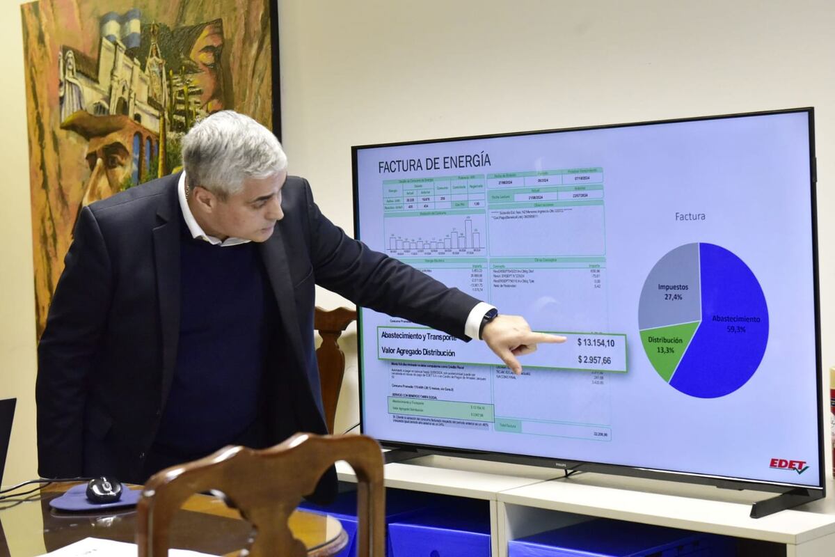 Factura de luz: Legisladores recibieron detalles